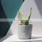 Ins Ebay Popular Led Planter Replacement Light Unit Hanging Wall Pot Ball Plant Cement