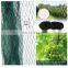Manufacturer Agriculture HDPE Customized Anti Bird Net Garden Greenhouse Horticulture Plant Protection Cover Weaved