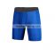 (OEM ODM FACTORY)Nylon/Lycra Men's blank Exercise Compression Workout Shorts/wholesale compression shorts /mens sports shorts
