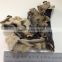 Dried Black and White Fungus Mushroom