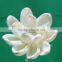 flower air conditioningflower diffuser