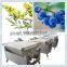 Multifuctional blueberry sorter/full automatic blueberry sorter machine/5- grades blueberry sorting machine