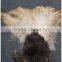 Professional Ostrich Feather Duster
