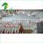 3*3 meters customized white folding canopy