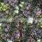 Chinese mill hot selling 100% polyester jacquard fabric for evening grown