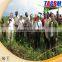 Applied Combine 2 rows cassava Planter/2AMSU ridging type cassava planting machine for sale