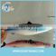 30cm 70g Saltwater PVC Soft plastic fishing lures mackerel hollow lures                        
                                                Quality Choice