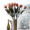 Dried flowers, single branch the Dutch tulip flower wholesale