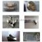 China best national sharp absorption refrigerator spare parts