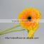 Fresh promotional long stem flowers fresh cut gerbera