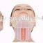 2013 top seling products distributors wanted hifu transducer