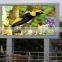 Advertising p8 Led Screen Outdoor