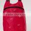 Stylish backpack with beautiful design