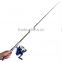 Mini Telescopic Portable Pocket Pen Fishing Rod / telescopic fishing rod / mini fishing rod