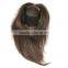 Factory Price human virgin hair fish net toupee