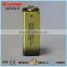 High Quality Alkaline Dry Battery 9V 6LR61 Battery