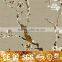 Single Color nylon printing apartment corridor carpet