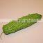 HOT /pu decoration bitter gourd cheap wholesale