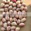 Kidney Beans new crop;