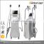 China supplier professional 2 handle pieces cryolipolysis water cooling pc device for weight loss
