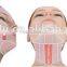 Expression Lines Removal Professional High Intensity Focused Ultrasound Hifu Machine For Face Lift And Tighten Skin Tightening