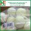Chinese fresh peeled onion