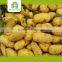 Good Brand Fresh Dutch Potato