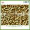 New crop 2016 Chinese factory blanched peanut kernel