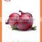 Export bulk chinese Best quality fresh red onion