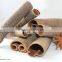 High oil content cassia cinnamon
