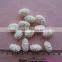 HACCP/ISO top quality snacks rice crackers in Korean