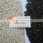 JUMBO BLACK PEPPER 5 mm