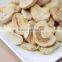 Bottom price best selling freeze dried mushroom vegetables