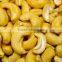 Best Price Raw Cashew Nuts From West Africa / Good Quality