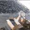 export charcoal for bbq