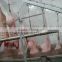 pig carcass scalding tank for pig slaughter