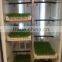 Bean Seeds Sprout Machine / Competetive Price Bud Seeding Machine for sale