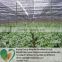 Hot sales! High Quanlity Shade Net for Gardening