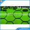 China supplier Anping Hexagonal Mesh / Hexagonal Wire Netting / Chicken Wire Mesh with competitive