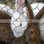 Hot sale hexagonal wire mesh cages for chicken and rabbit