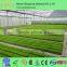 Cheap polycarbonate agricultural greenhouse , low cost tunnel plastic greenhouse for sale