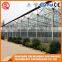 Vegetable Product Venlo Glass Green House Hydroponic System
