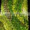 Factory wholesale artificial grass wall uv resist artificial living plant moss wall