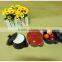 2014 round High quality two handles colored ceramic bakeware plate set