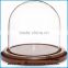 Mouth Blown Modern decoration Glass Globe customized flower clear glass display dome