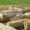 thatching water reed bundles