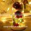 Factory Direct Supply Preserved Rose Flowers in Glass with Led