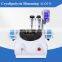Portable fat freezing cryolipolysis for weight loss