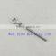 Stainless Steel Eye Bolt