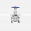 DN50 BS DIN Double Flange Stainless Steel Gate Valve